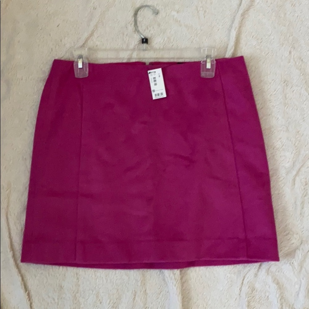 The Limited skirt